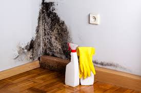 Best Asbestos and Lead Testing During Mold Inspection in Greentown, OH